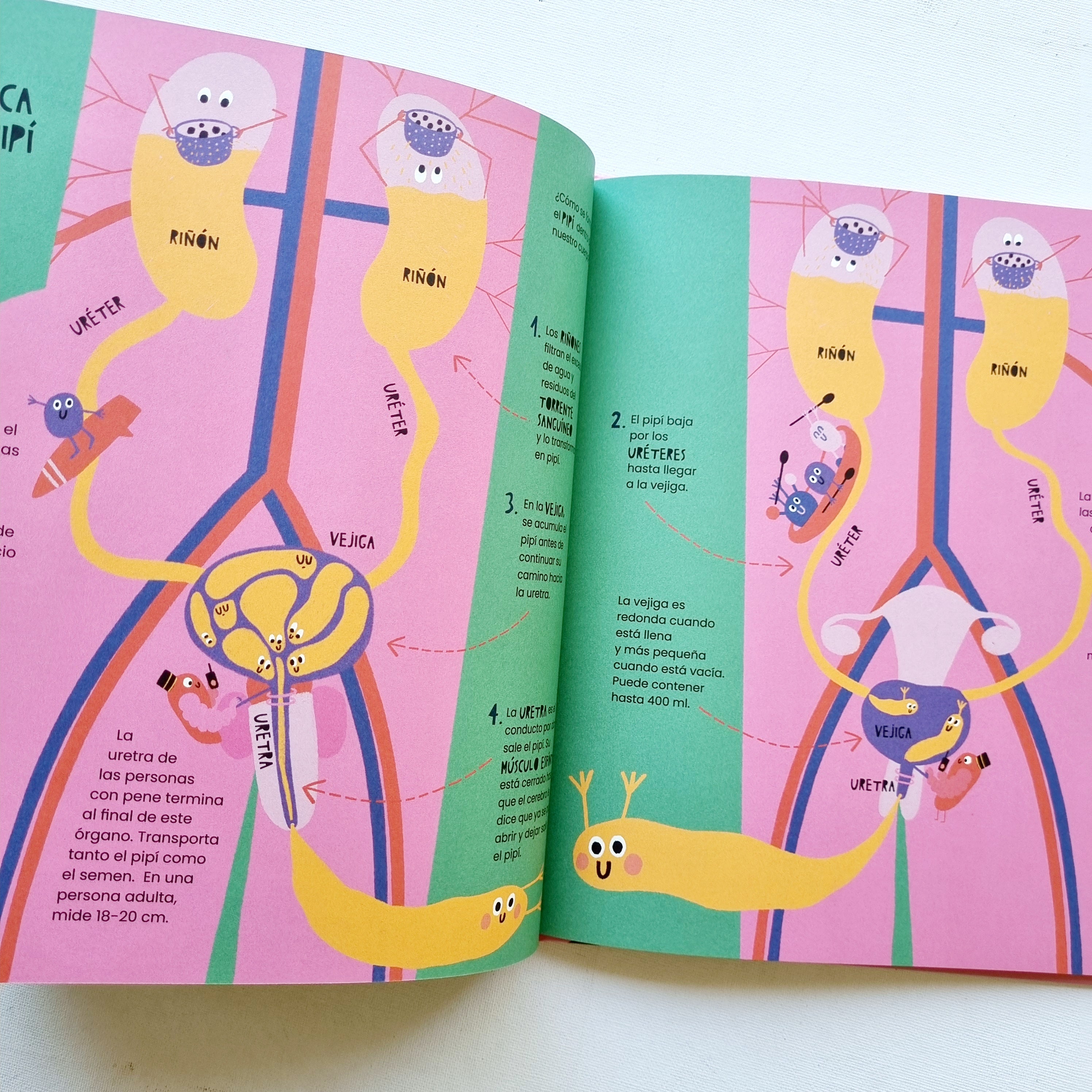 La vida secreta del pipi y la caca La vida secreta del pipi y la caca